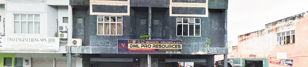DML-Pro